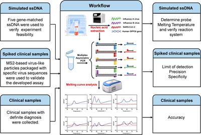 A novel assay based on DNA melting temperature for multiplexed identification of SARS-CoV-2 and influenza A/B viruses